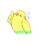 いろいろインコさん（個別スタンプ：4）