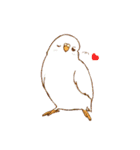 いろいろインコさん（個別スタンプ：5）