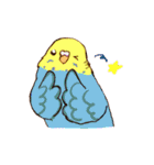 いろいろインコさん（個別スタンプ：6）