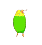 いろいろインコさん（個別スタンプ：10）