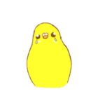 いろいろインコさん（個別スタンプ：12）