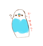 いろいろインコさん（個別スタンプ：13）