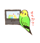 いろいろインコさん（個別スタンプ：17）