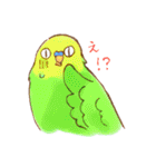 いろいろインコさん（個別スタンプ：18）