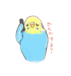 いろいろインコさん（個別スタンプ：19）