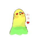 いろいろインコさん（個別スタンプ：20）