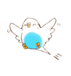 いろいろインコさん（個別スタンプ：21）