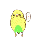 いろいろインコさん（個別スタンプ：22）