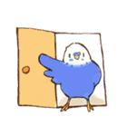 いろいろインコさん（個別スタンプ：25）