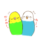 いろいろインコさん（個別スタンプ：29）