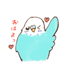 いろいろインコさん（個別スタンプ：30）