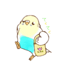 いろいろインコさん（個別スタンプ：31）