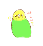 いろいろインコさん（個別スタンプ：33）
