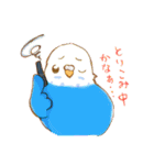いろいろインコさん（個別スタンプ：34）