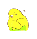 いろいろインコさん（個別スタンプ：35）