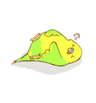 いろいろインコさん（個別スタンプ：37）