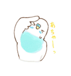 いろいろインコさん（個別スタンプ：39）