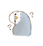 いろいろインコさん（個別スタンプ：40）