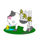 ニャッピのもっとゆるい1日（個別スタンプ：36）