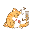 pumpkin cat（個別スタンプ：4）