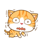 pumpkin cat（個別スタンプ：6）