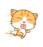 pumpkin cat（個別スタンプ：10）