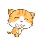 pumpkin cat（個別スタンプ：17）