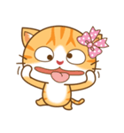 pumpkin cat（個別スタンプ：18）