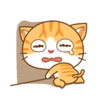 pumpkin cat（個別スタンプ：38）