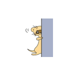 SUPER フェレット君（個別スタンプ：9）