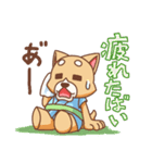 九州弁犬（個別スタンプ：39）