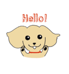 Kiki the poodle（個別スタンプ：1）
