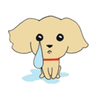 Kiki the poodle（個別スタンプ：8）