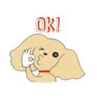 Kiki the poodle（個別スタンプ：10）
