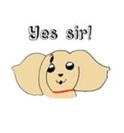Kiki the poodle（個別スタンプ：11）