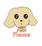 Kiki the poodle（個別スタンプ：17）