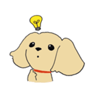 Kiki the poodle（個別スタンプ：18）