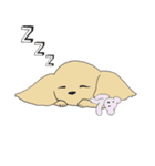 Kiki the poodle（個別スタンプ：19）