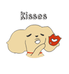 Kiki the poodle（個別スタンプ：22）