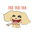 Kiki the poodle（個別スタンプ：28）