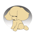 Kiki the poodle（個別スタンプ：40）