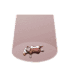 D．C． スタンプ（個別スタンプ：40）