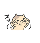 スッ！にょこねこ（個別スタンプ：2）