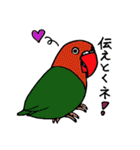 可愛い小鳥ちゃん（個別スタンプ：18）