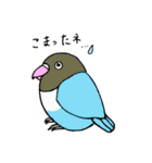 可愛い小鳥ちゃん（個別スタンプ：35）