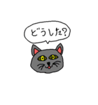 疑問符の猫（個別スタンプ：2）