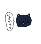 疑問符の猫（個別スタンプ：21）