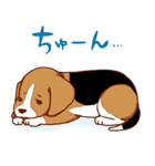 子犬のビーグル（個別スタンプ：28）