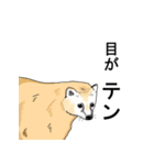 名前で話す動物たち！（個別スタンプ：25）