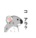 名前で話す動物たち！（個別スタンプ：39）